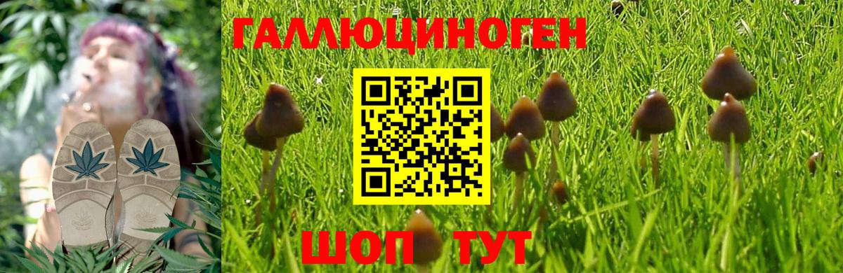 Галлюциногенные грибы Psilocybe  Вход с VPN  Галлюциногенные грибы Magic Shrooms  наркота  Богородицк 