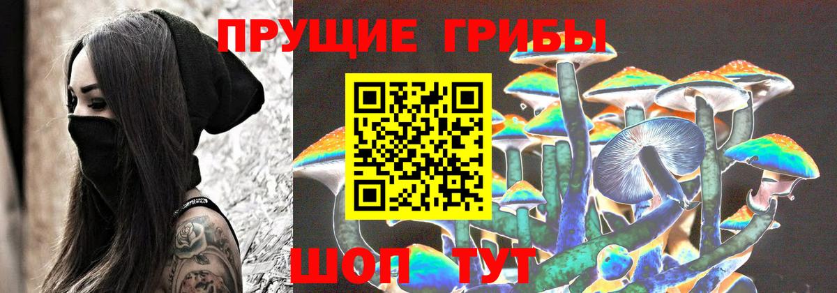 Псилоцибиновые грибы GOLDEN TEACHER Богородицк